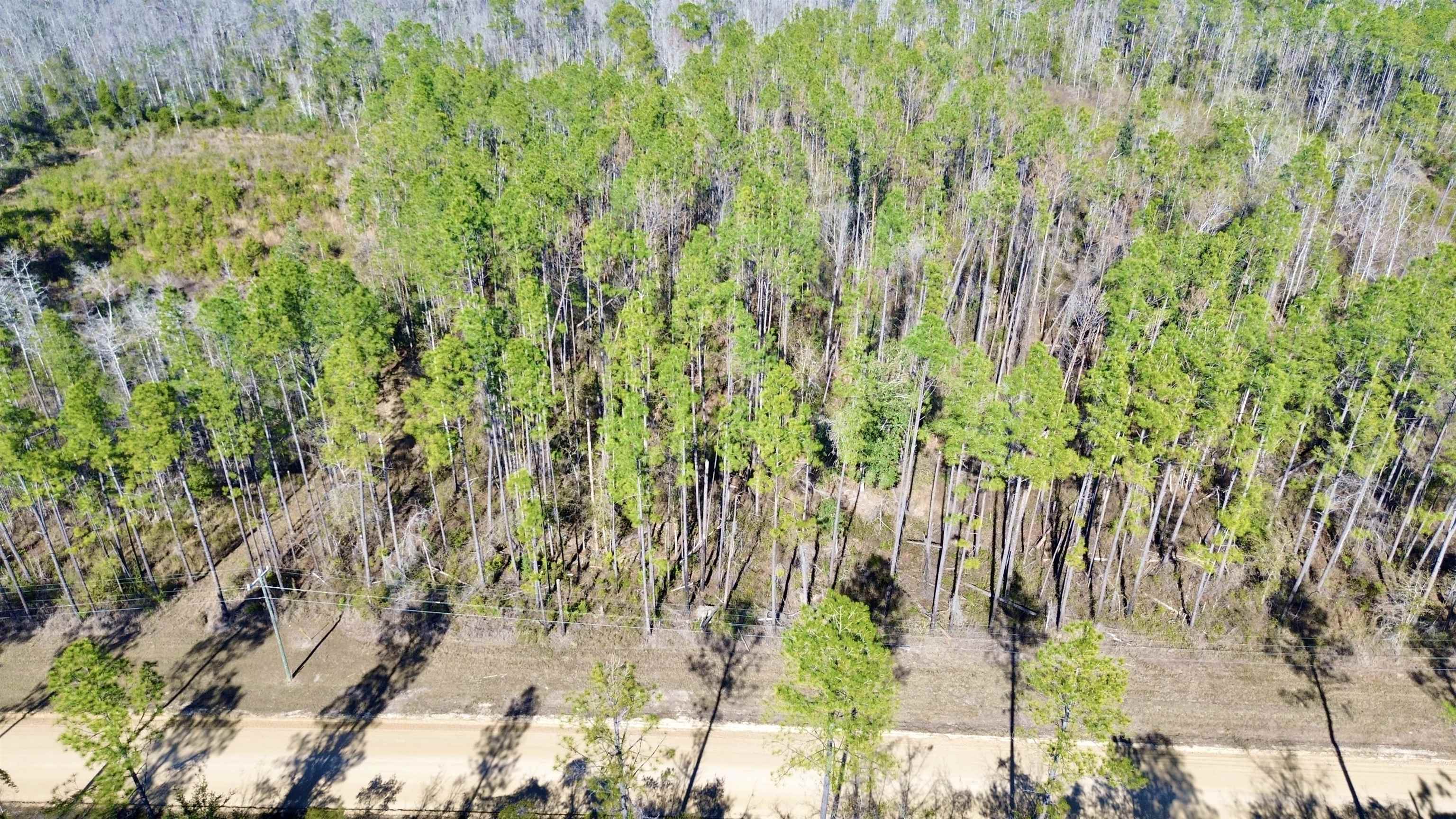 Vacant Southwest Open Sands Loop Greenville, FL 32331 - Photo 20 of 23