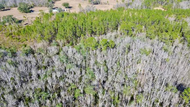 $49,000 | Vacant Southwest Open Sands Loop, Greenville, FL 32331