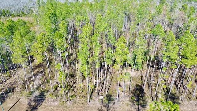 $49,000 | Vacant Southwest Open Sands Loop, Greenville, FL 32331