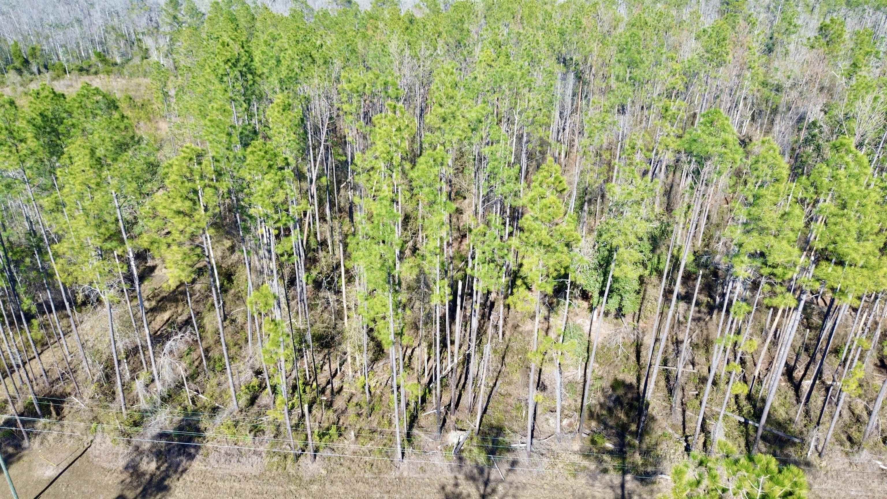 Vacant Southwest Open Sands Loop Greenville, FL 32331 - Photo 21 of 23