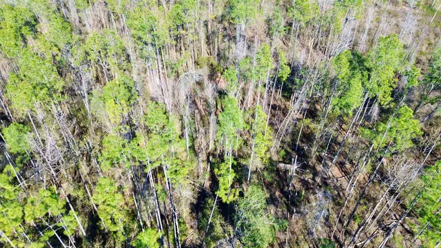 $49,000 | Vacant Southwest Open Sands Loop, Greenville, FL 32331