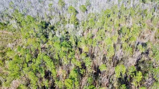 $49,000 | Vacant Southwest Open Sands Loop, Greenville, FL 32331