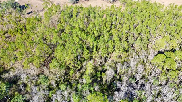 $49,000 | Vacant Southwest Open Sands Loop, Greenville, FL 32331