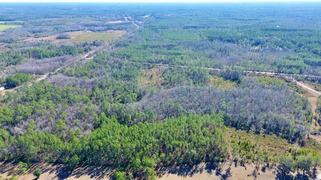 $49,000 | Vacant Southwest Open Sands Loop, Greenville, FL 32331