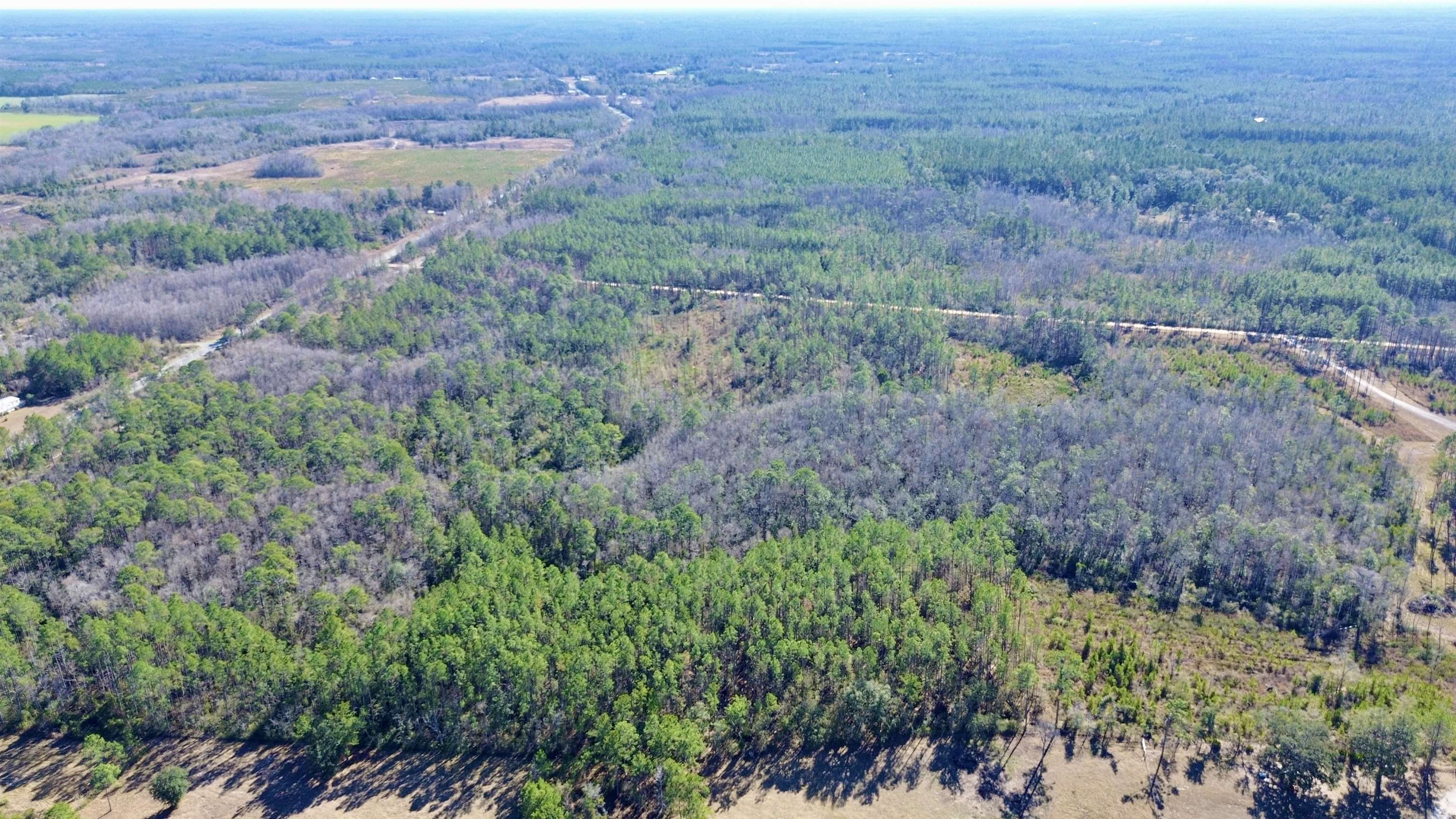 Vacant Southwest Open Sands Loop Greenville, FL 32331 - Photo 4 of 23