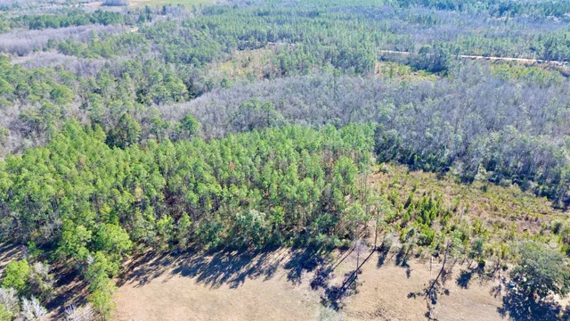 $49,000 | Vacant Southwest Open Sands Loop, Greenville, FL 32331