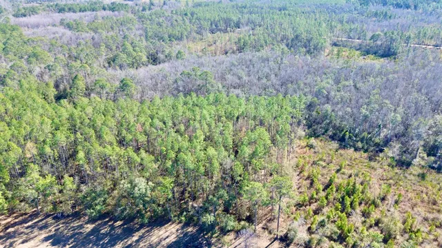 $49,000 | Vacant Southwest Open Sands Loop, Greenville, FL 32331