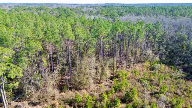 $49,000 | Vacant Southwest Open Sands Loop, Greenville, FL 32331