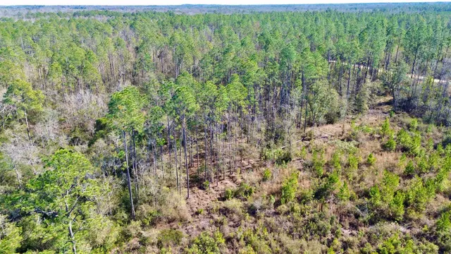 $49,000 | Vacant Southwest Open Sands Loop, Greenville, FL 32331