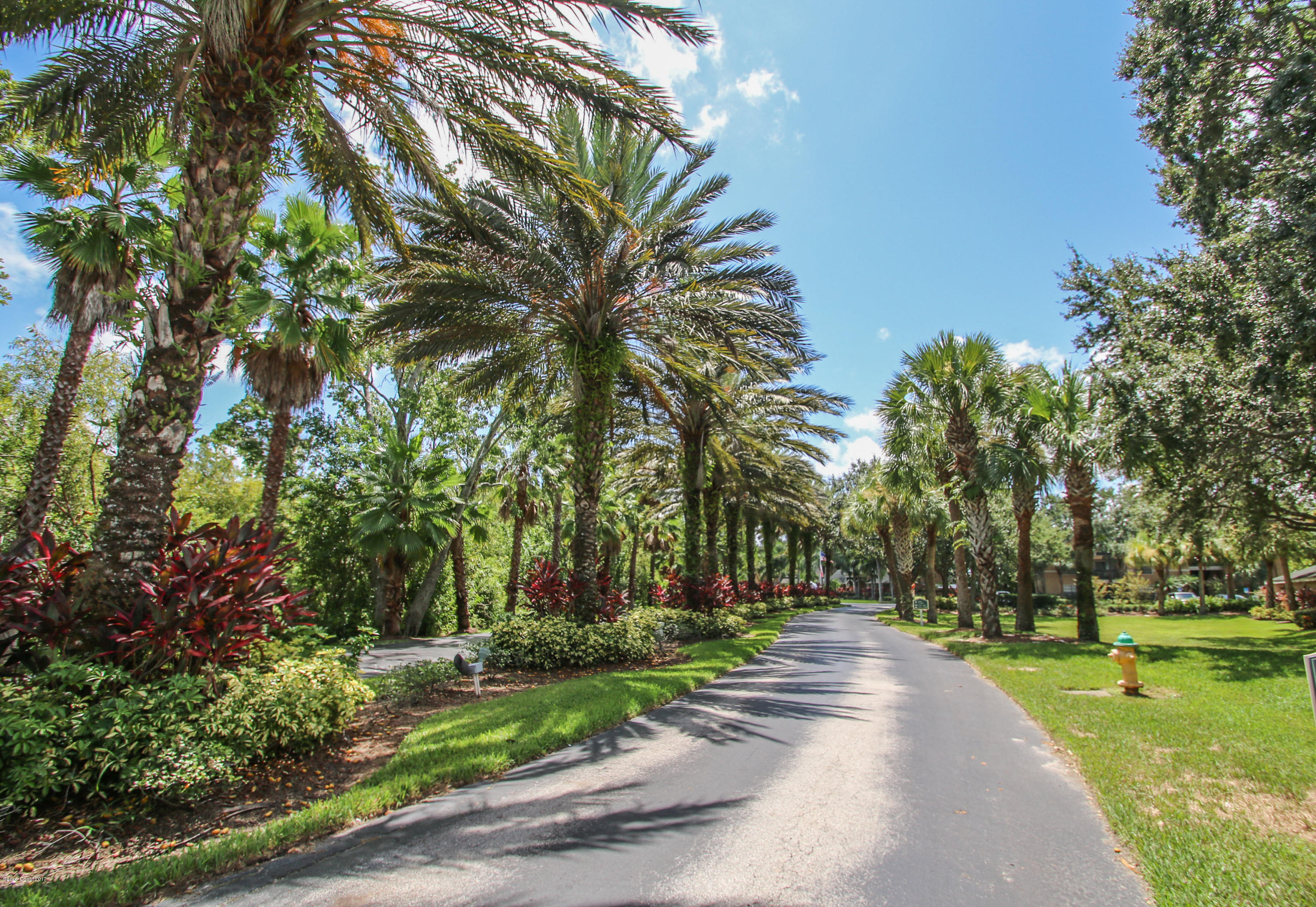 7667 North Wickham Road, Unit 705 Melbourne, FL 32940 - Photo 3 of 17 Entrance Drive