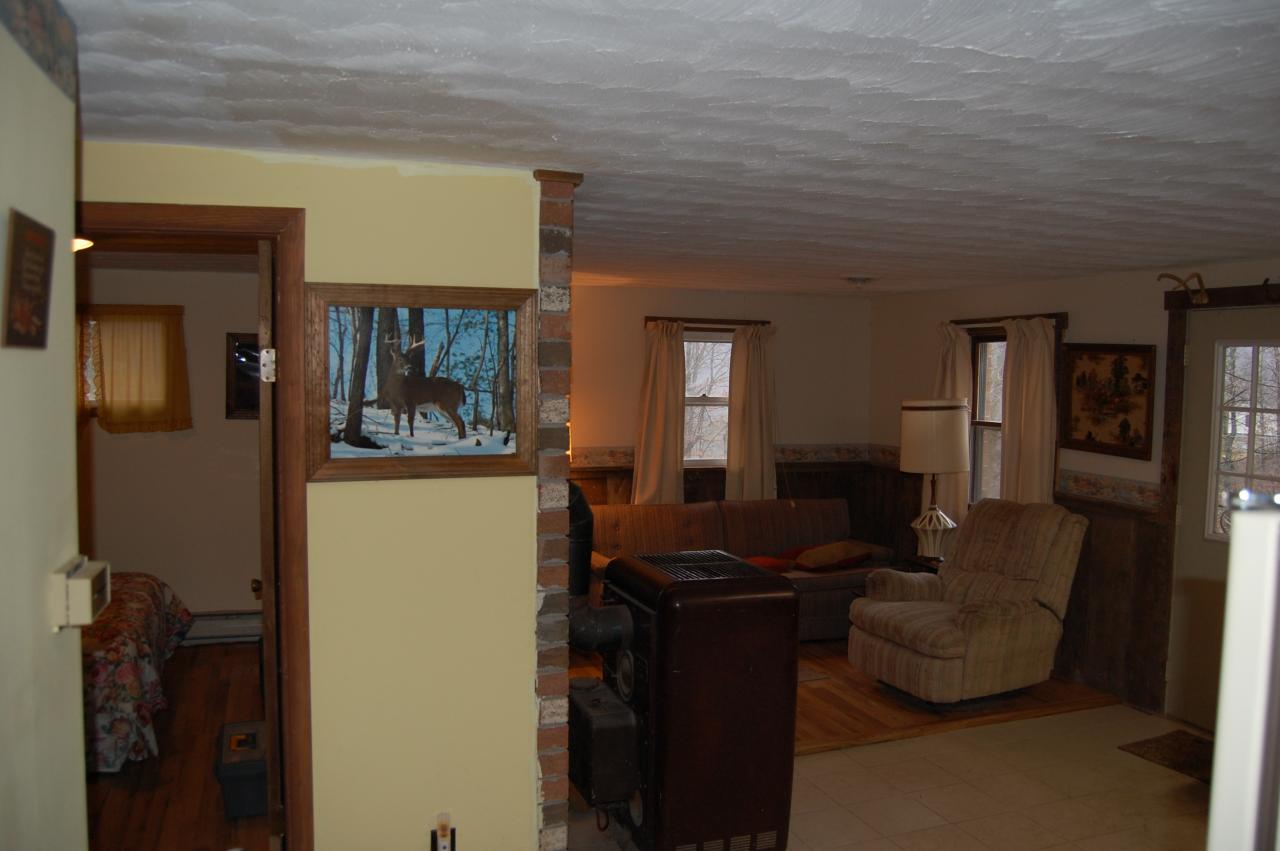 Devils Hollow Road Gap Mills, WV 24941 - Photo 2 of 3 Living Room