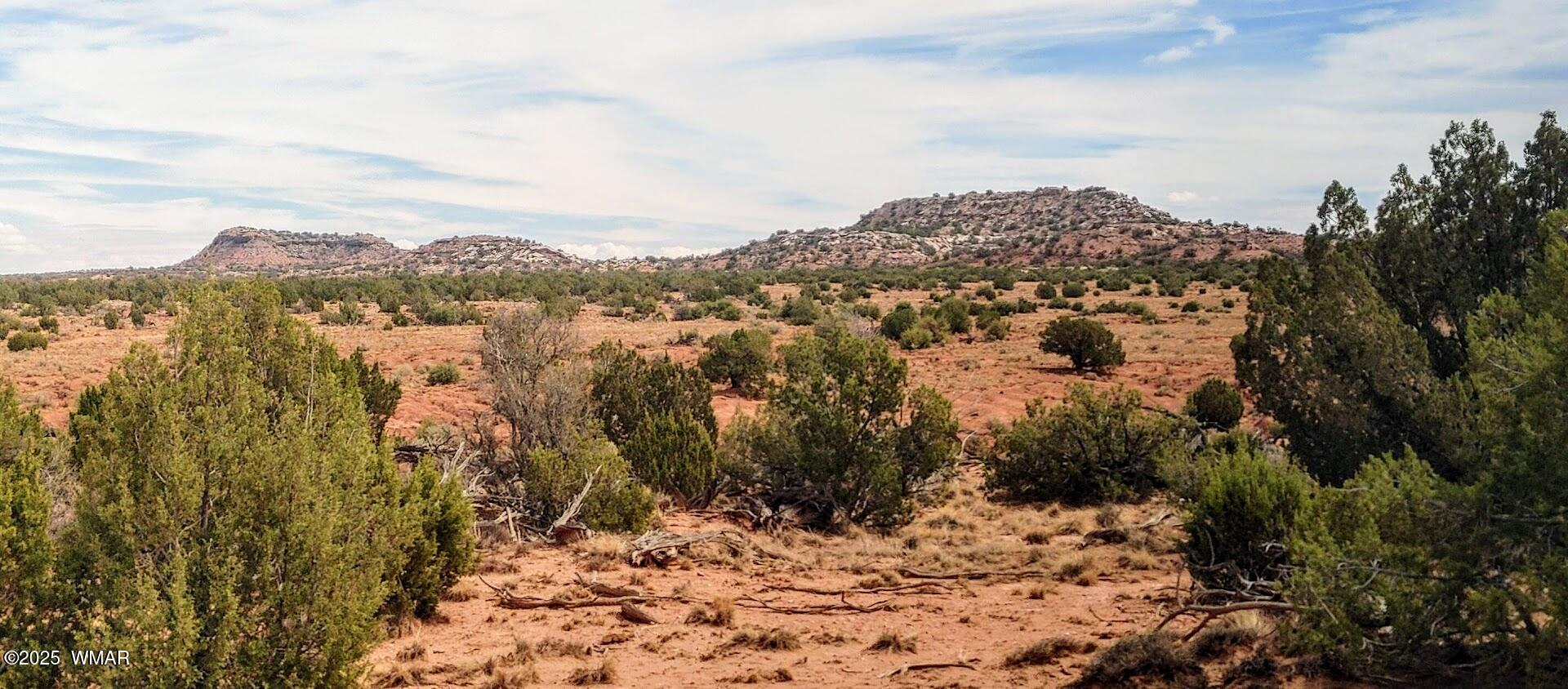 3219 El Capitan Road Show Low, AZ 85901 - Photo 13 of 13 a view of a city of mountains and valleys