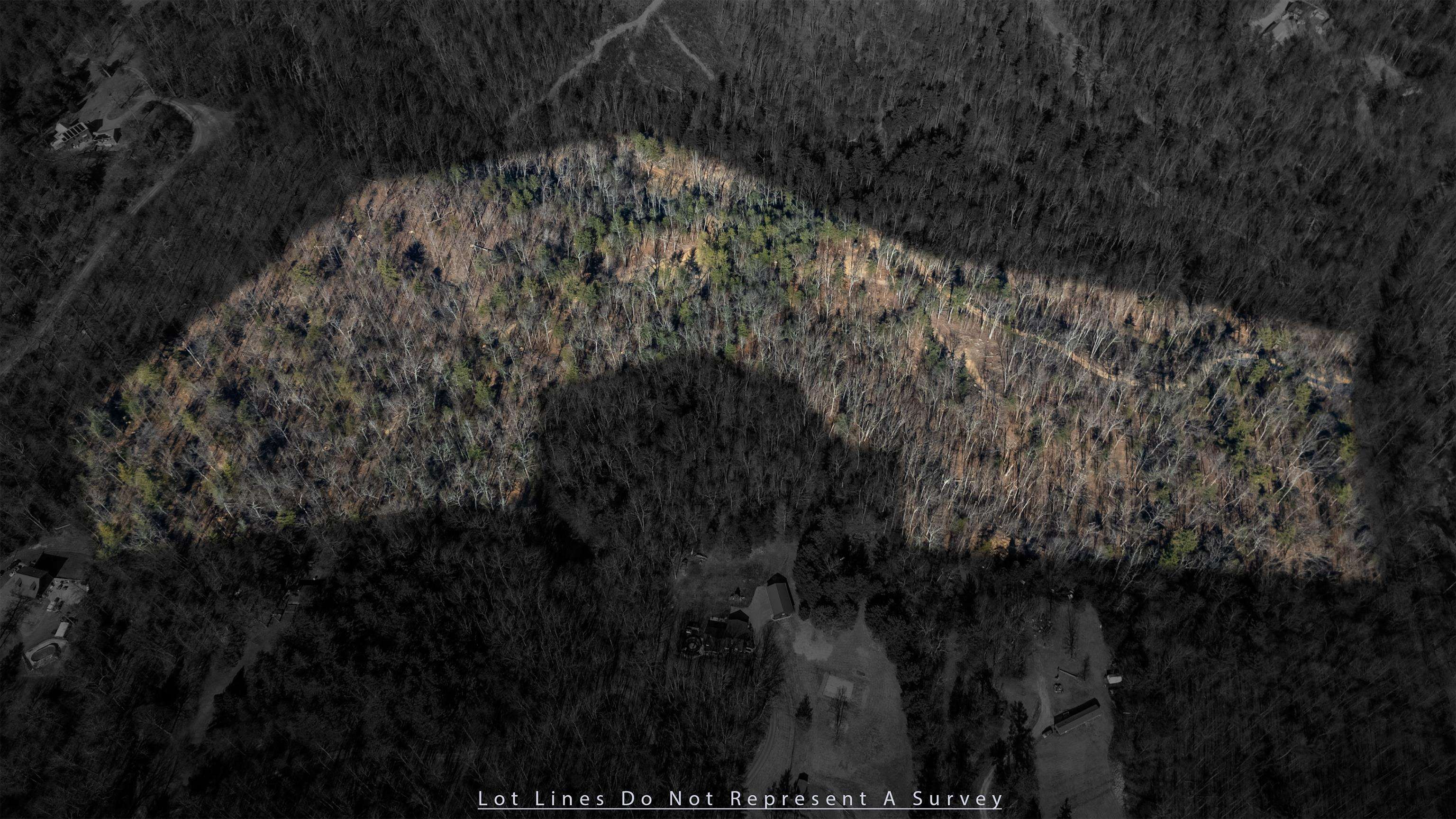 24.97-ac Stribling Springs Road Mount Solon, VA 22843 - Photo 20 of 34 a view of a forest