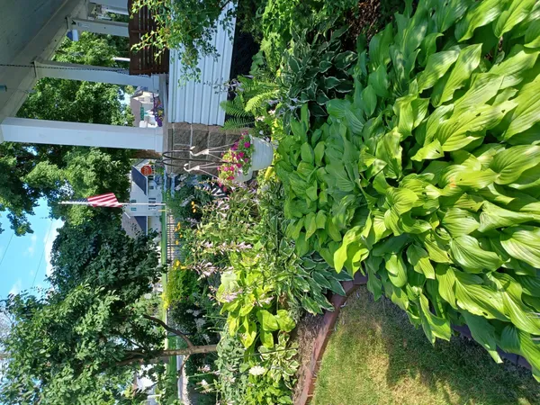 $299,000 | 229 1st Street Southwest, Grand Meadow, MN 55936