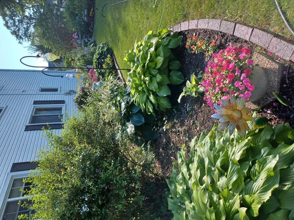 $299,000 | 229 1st Street Southwest, Grand Meadow, MN 55936