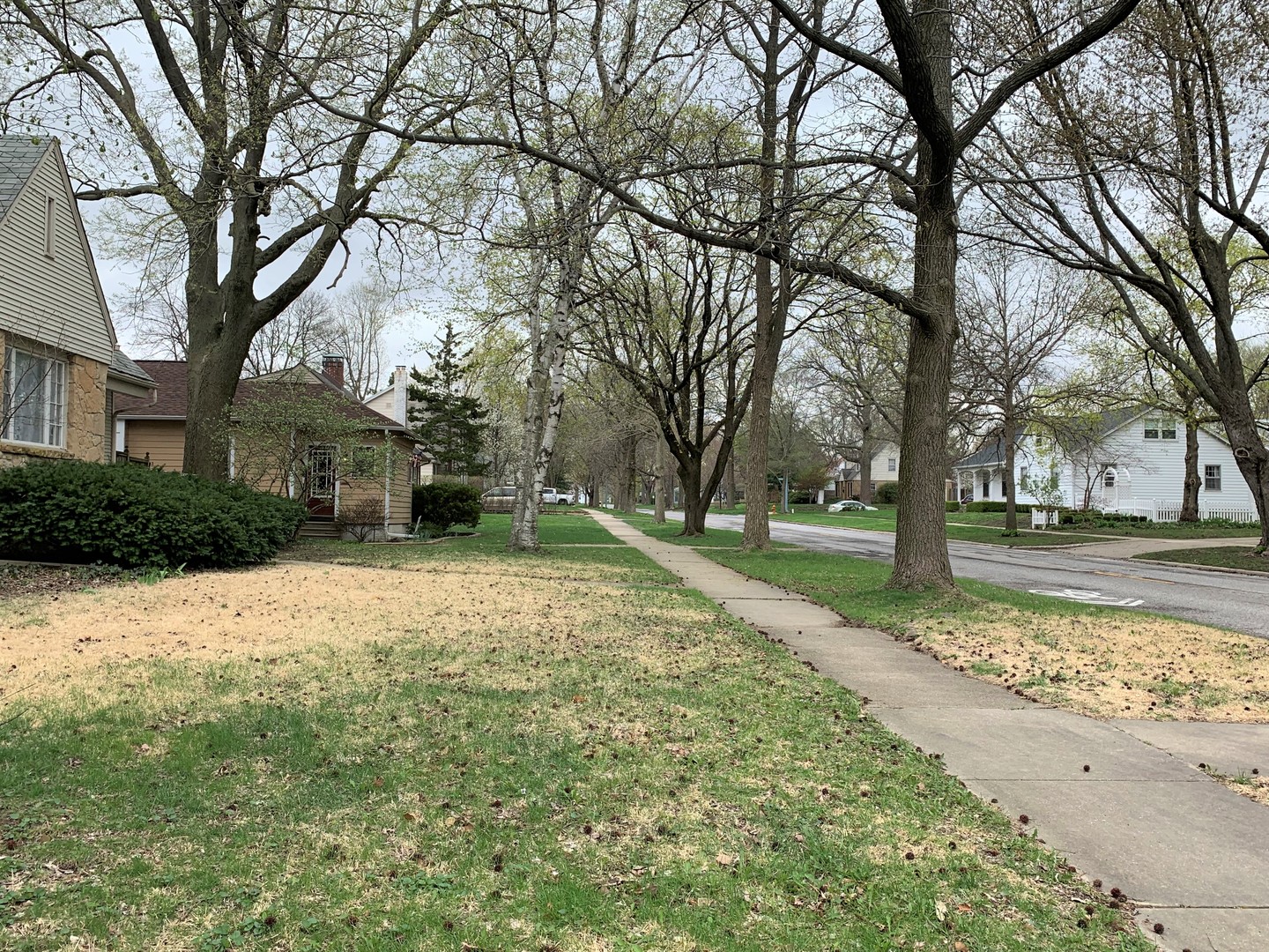 1101 West John Street Champaign, IL 61821 - Photo 23 of 29