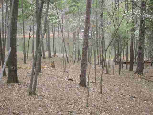 Lot 32 Coneross Point Seneca, SC 29678 - Photo 3 of 4 Gallery Image 3