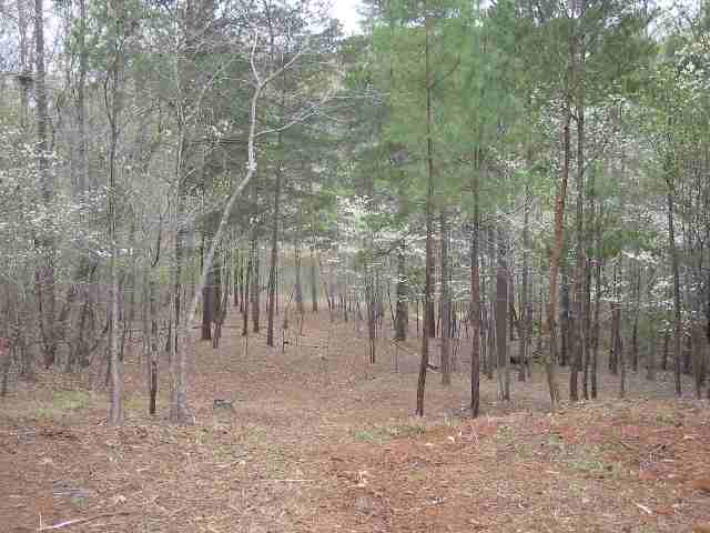 Lot 32 Coneross Point Seneca, SC 29678 - Photo 4 of 4 Gallery Image 4