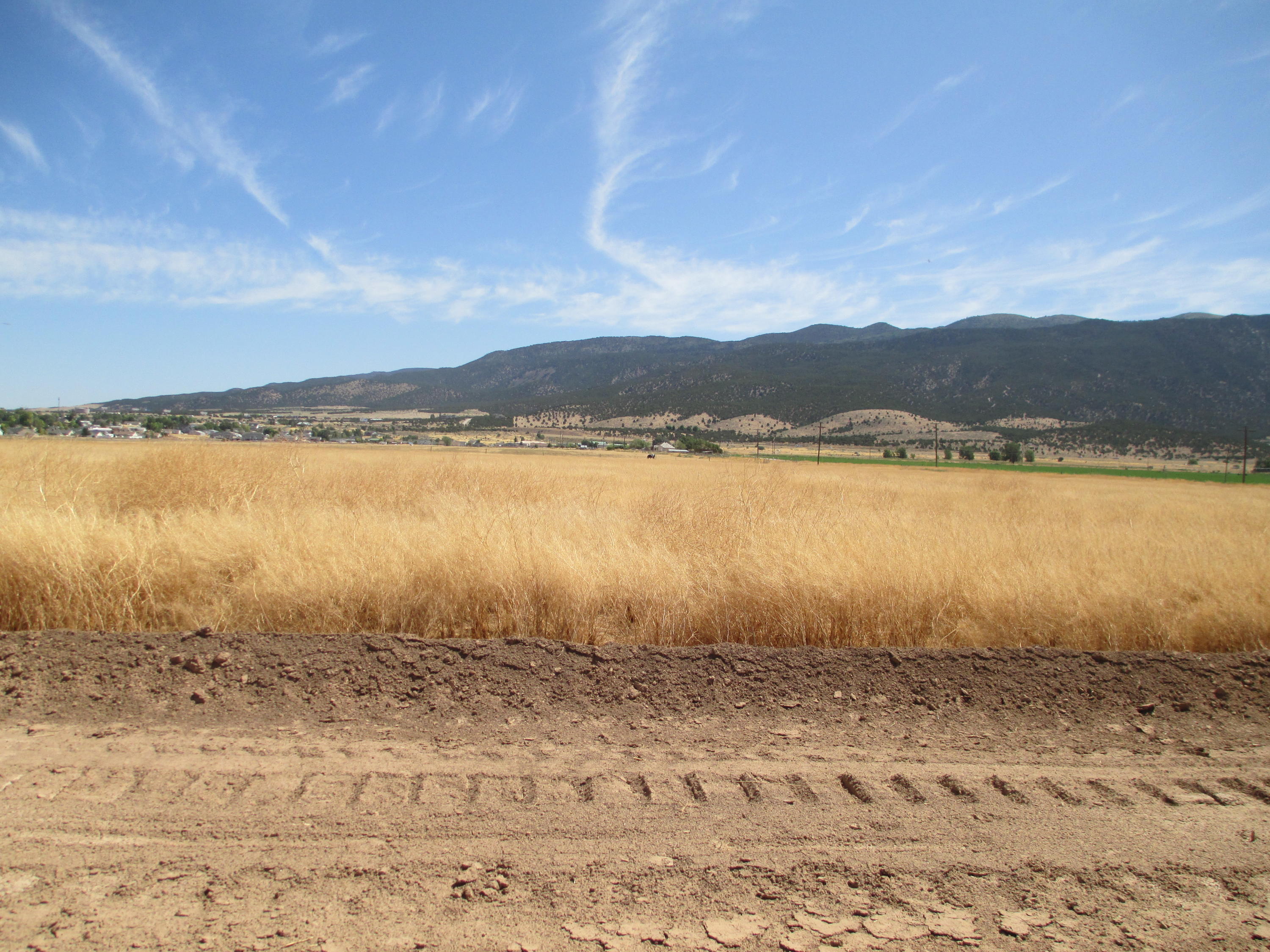 4236 High Noon Street, Unit LOT #85 Enoch, UT 84721 - Photo 1 of 1 Lot View