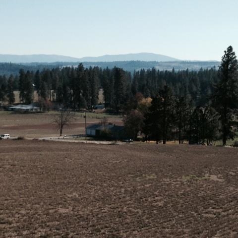 0 North Austin Road Colbert, WA 99005 - Photo 3 of 3