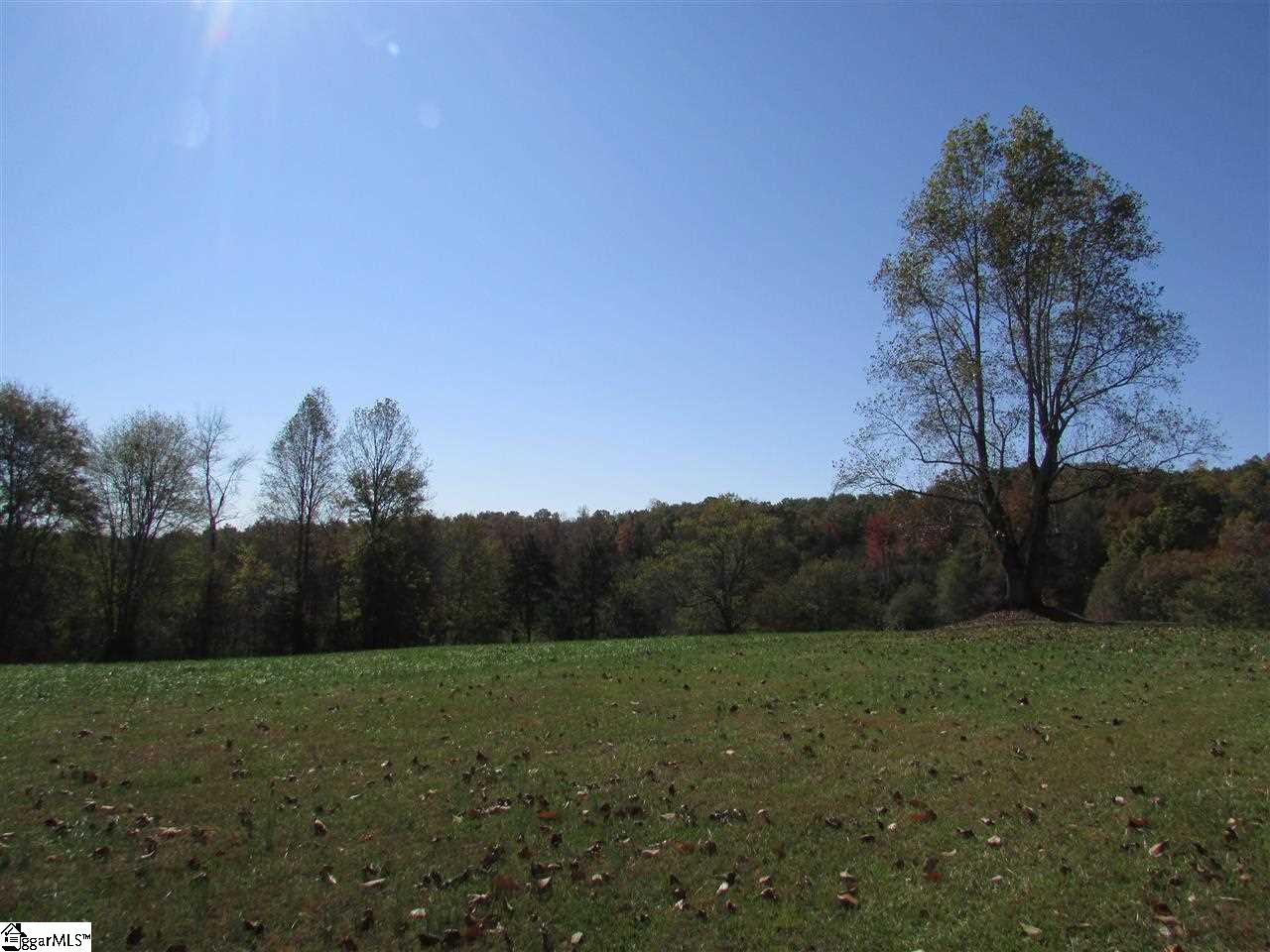 441 Hagood Mill Road Pickens, SC 29671 - Photo 20 of 29 Gallery Image 20