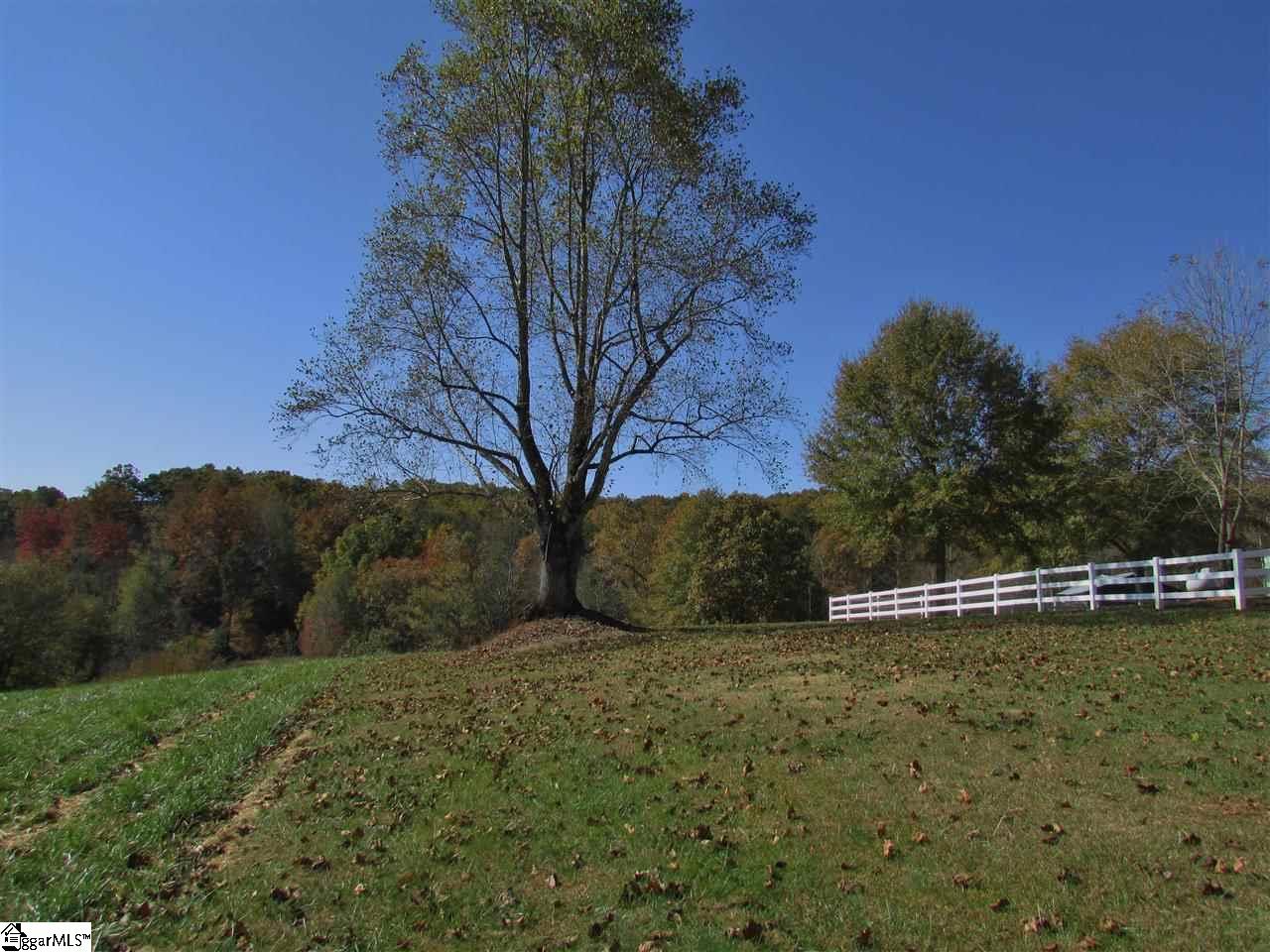 441 Hagood Mill Road Pickens, SC 29671 - Photo 21 of 29 Gallery Image 21