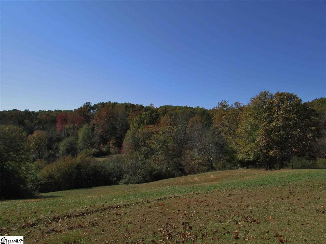 441 Hagood Mill Road Pickens, SC 29671 - Photo 22 of 29 Gallery Image 22