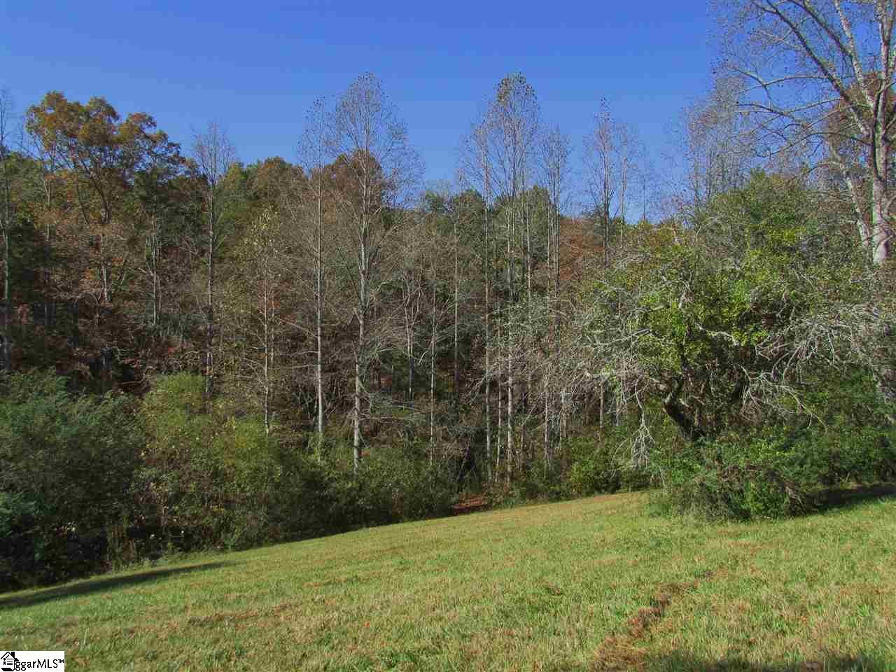 441 Hagood Mill Road Pickens, SC 29671 - Photo 23 of 29 Gallery Image 23