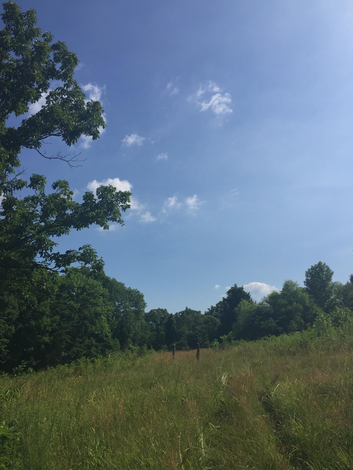 1234 Duke Powell Road McKee, KY 40447 - Photo 12 of 15 Photo 12