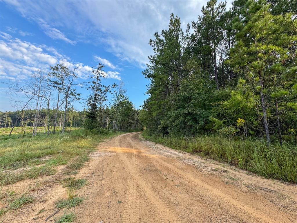 View of dirt / gravel road featuring a view of trees
