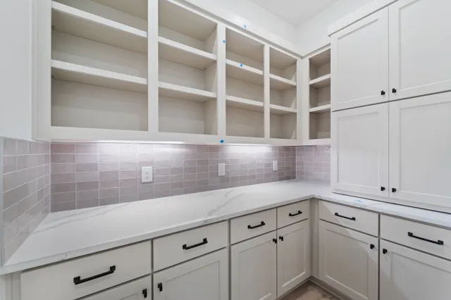 a view of cabinets and a potted plant on the granite counter