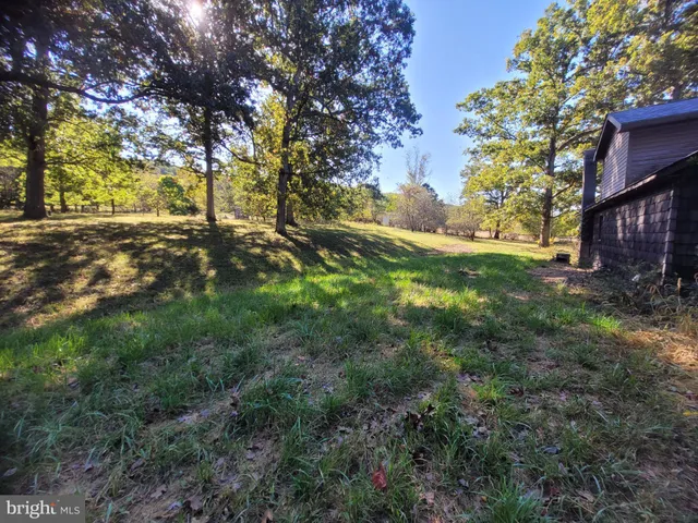 a view of yard with tree