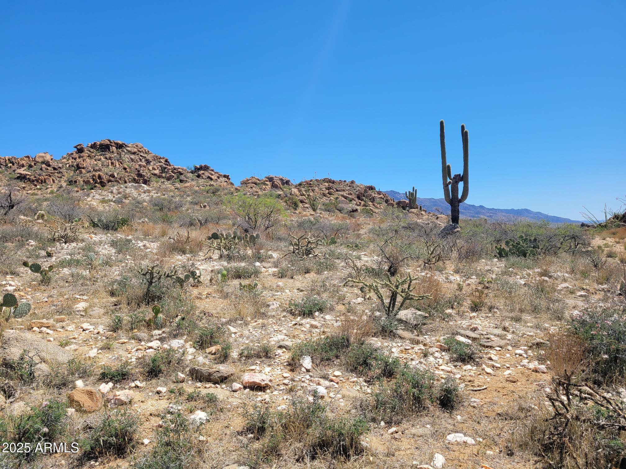 0 South Date Creek Road, Unit I3 Congress, AZ 85332 - Photo 1 of 8 a view of a dry yard with trees in the background