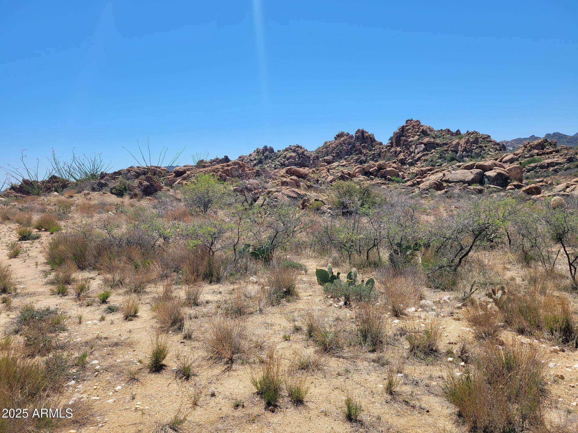 0 South Date Creek Road, Unit I3 Congress, AZ 85332 - Photo 2 of 8 a view of a large tree