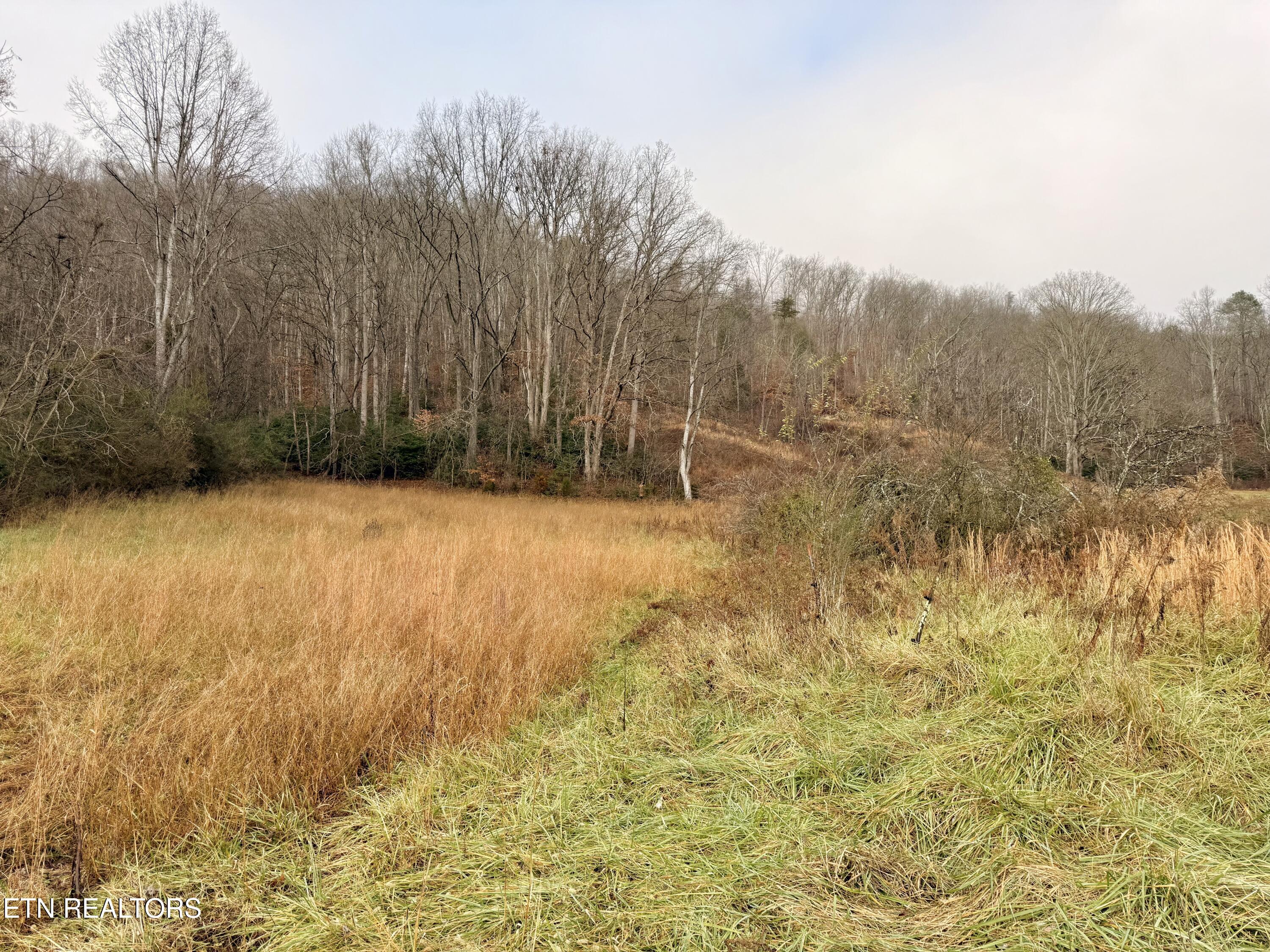 487 Right Poor Valley Road Pennington Gap, VA 24277 - Photo 6 of 19 IMG_3319