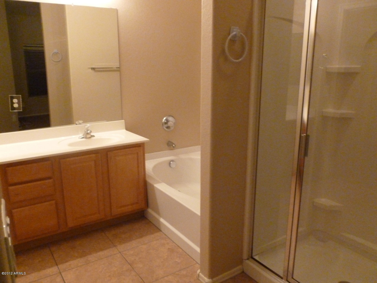 2111 West Carter Road Phoenix, AZ 85041 - Photo 5 of 13 P1010325