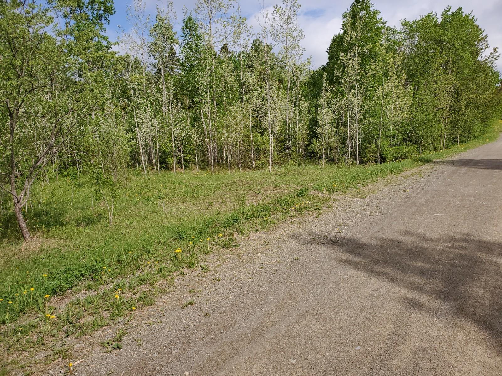 Lot N Lot N Haney Road Orient, ME 04471 - Photo 3 of 6 20200530_092236