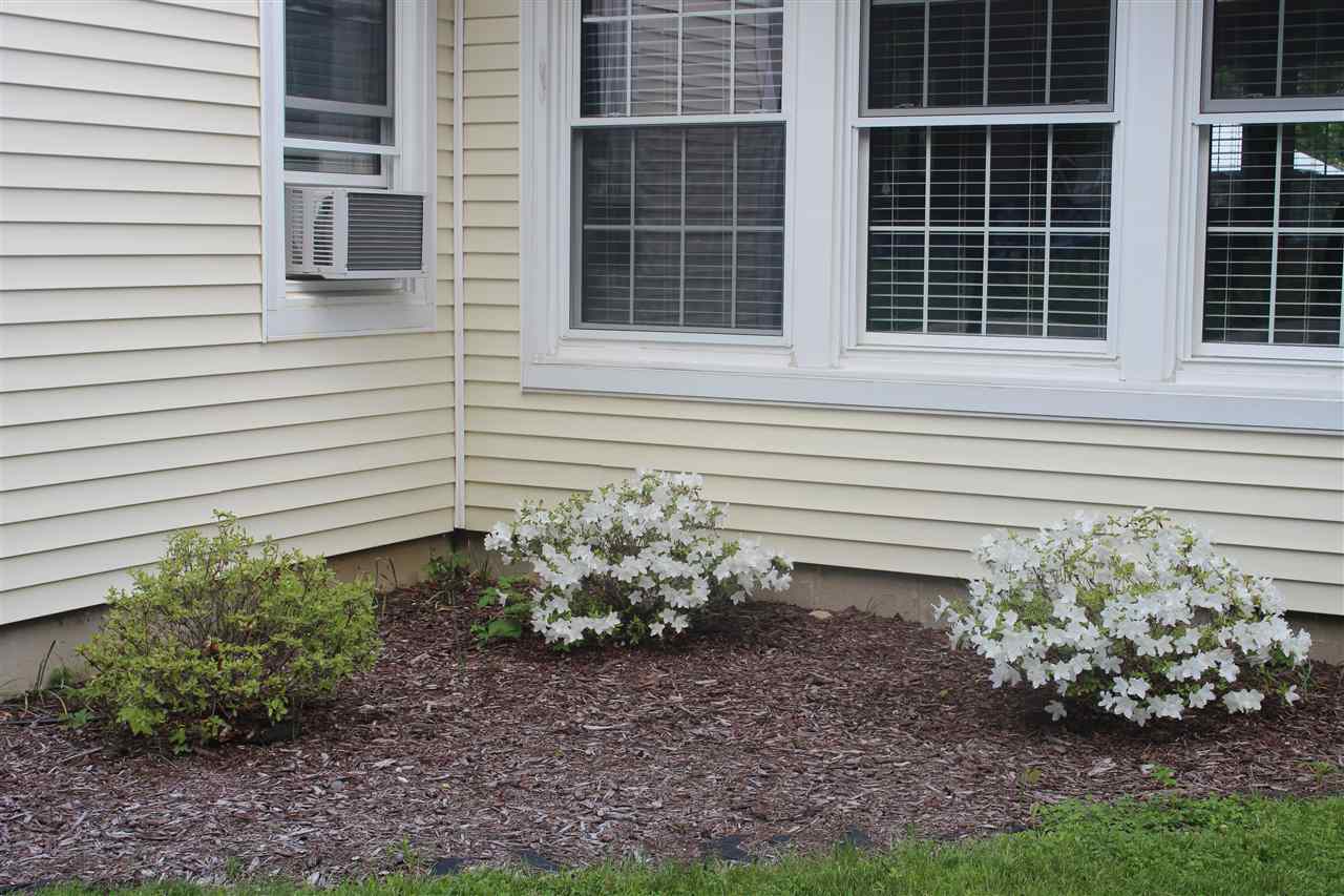 1 Yvonne Street Rochester, NH 03867 - Photo 2 of 23
