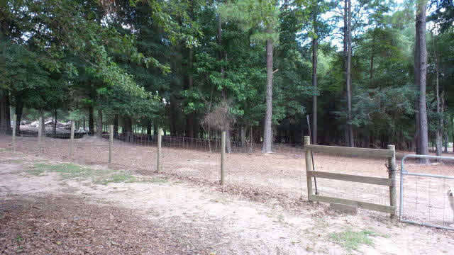 1625 Highway 31 Atmore, AL 36502 - Photo 9 of 45 Fencing