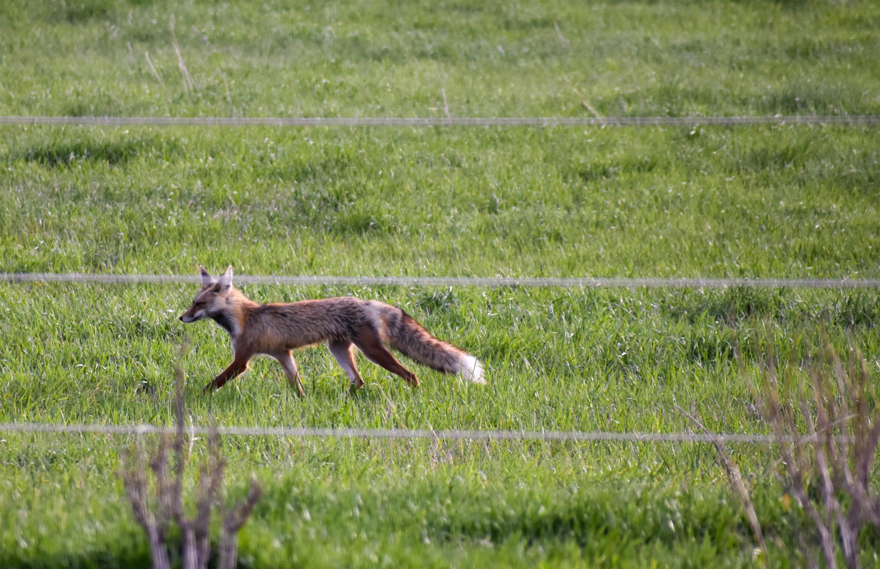950 Miles Road Bancroft, ID 83217 - Photo 40 of 41 Gallery Image 40