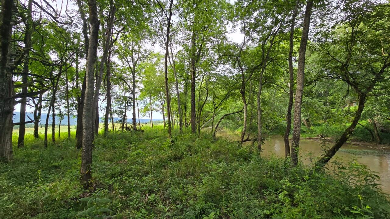 123 River Ridge Drive, Unit 123 Dunlap, TN 37327 - Photo 5 of 11 Femi 4