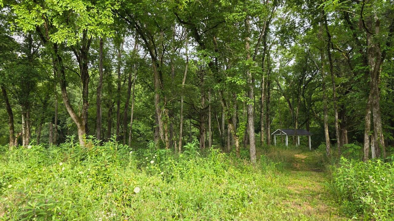 123 River Ridge Drive, Unit 123 Dunlap, TN 37327 - Photo 6 of 11 Femi1