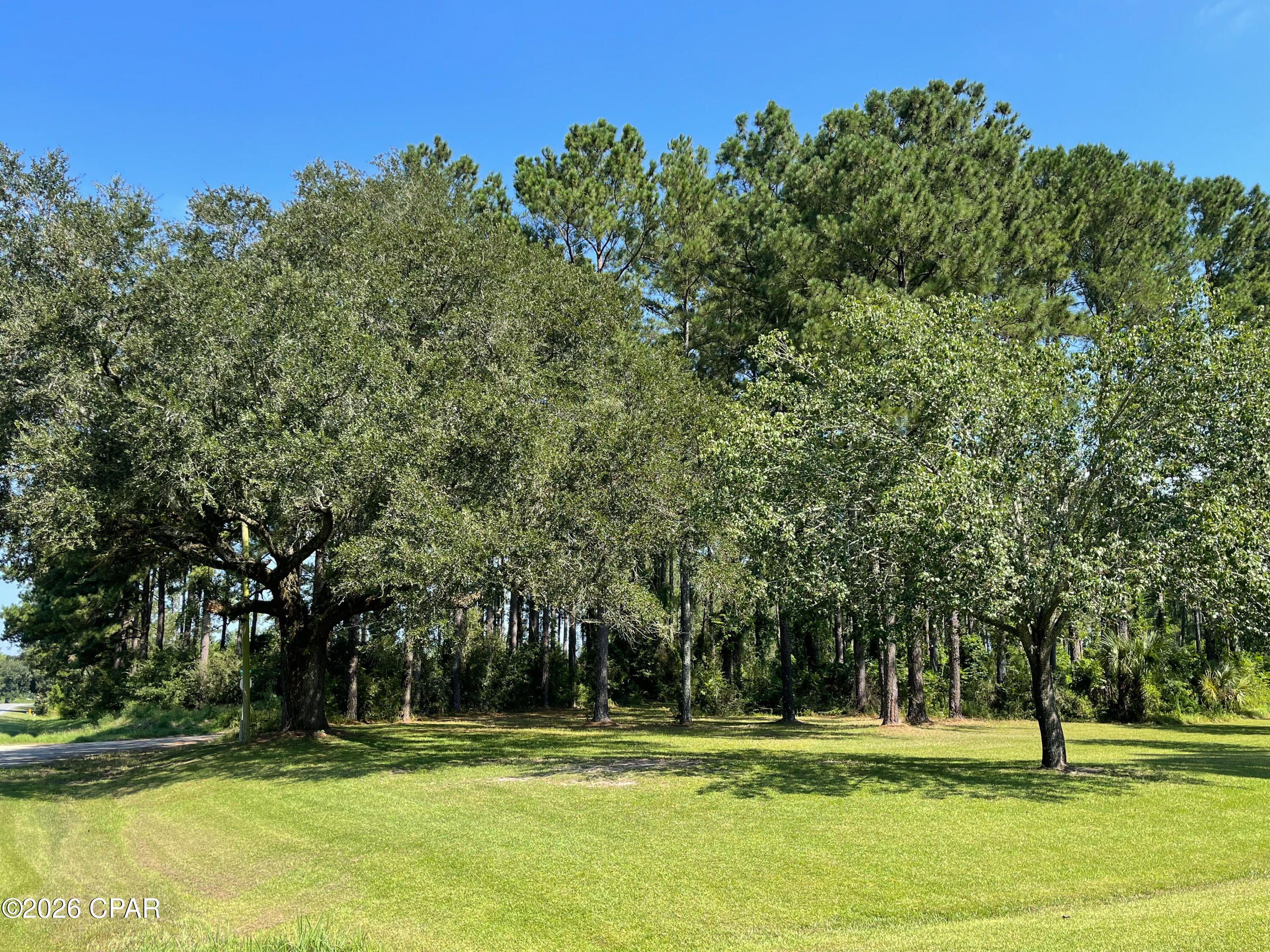 4630 Canary Road Graceville, FL 32440 - Photo 12 of 52 Gallery Image 12