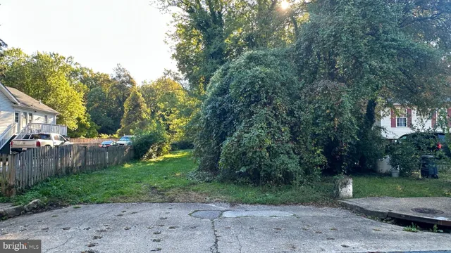 a view of a street with a large trees and a small barn