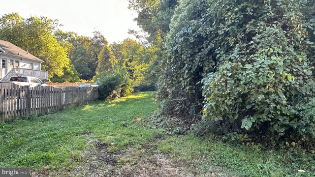 a view of a garden with a tree