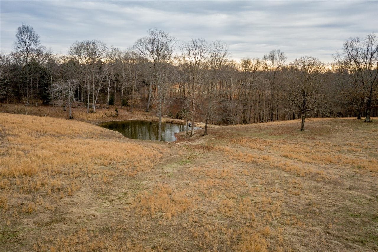 2083 Pleasant Ridge Church Road Adolphus, KY 42120 - Photo 8 of 48 Gallery Image 8