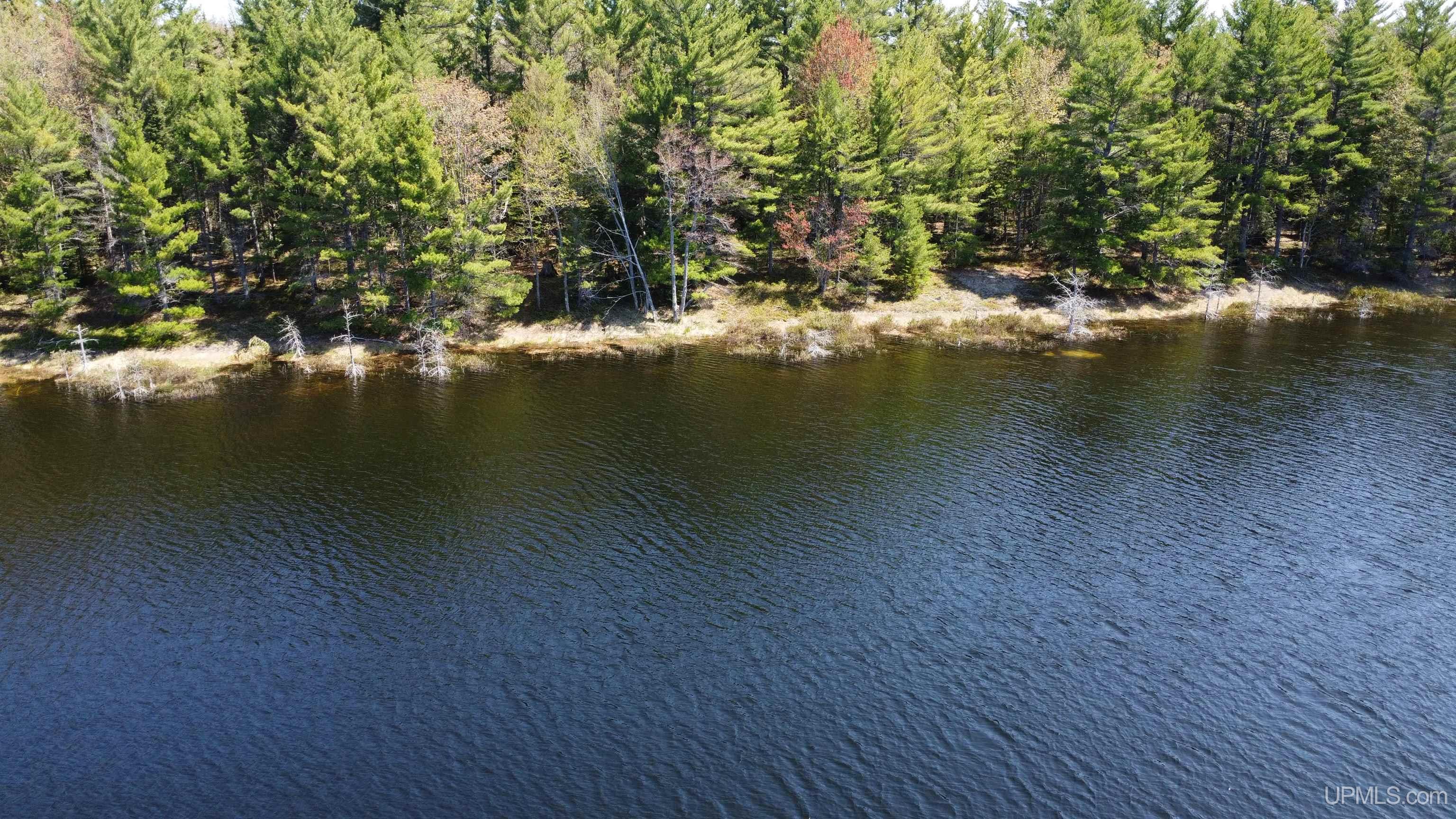 Off Adams Trail Shingleton, MI 49884 - Photo 6 of 46