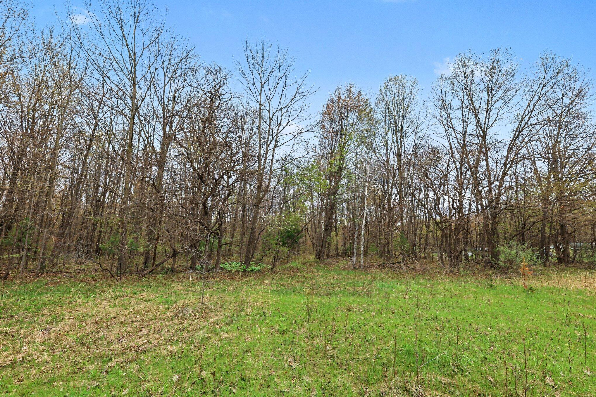 V/l East Bailey Road Ravenna, MI 49451 - Photo 4 of 24 002_file_7543