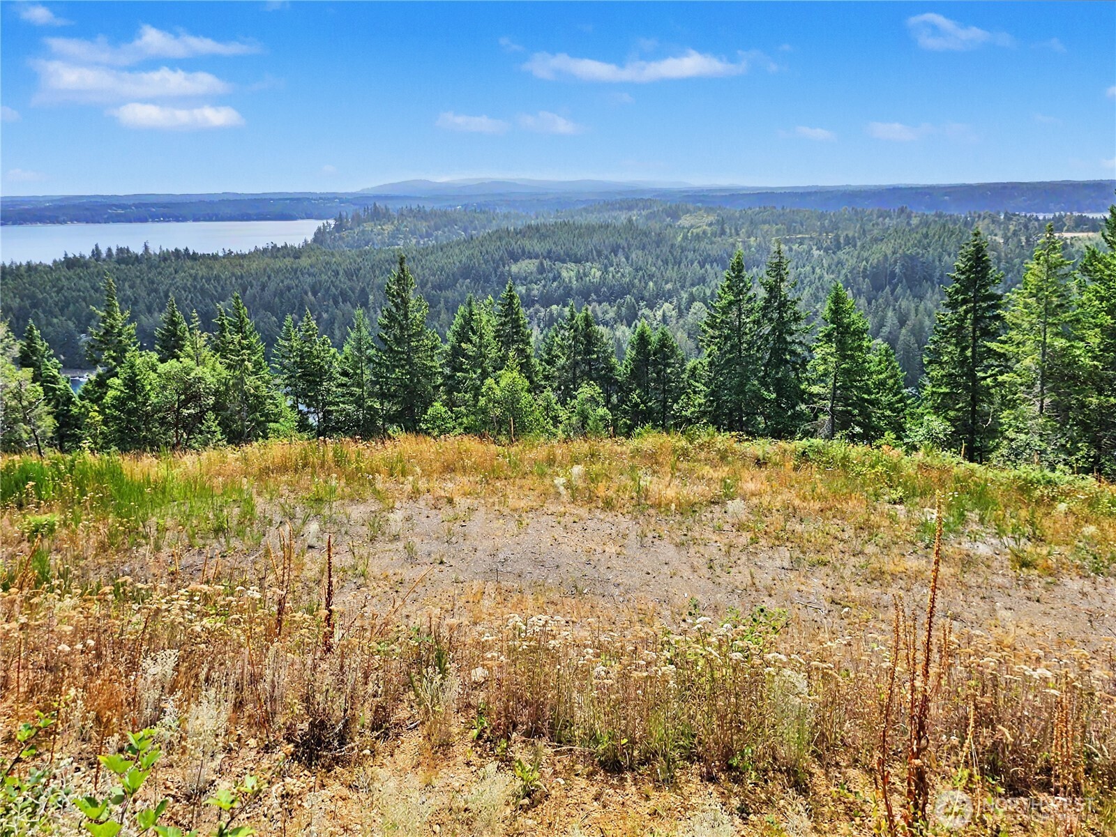 646 Madrona Ridge Drive Brinnon, WA 98320 - Photo 27 of 34 Gallery Image 27
