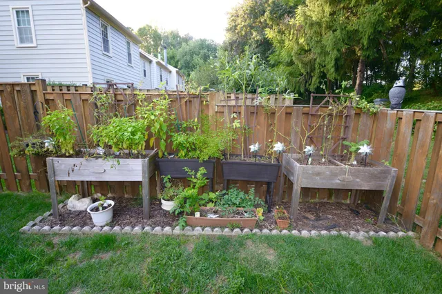a view of a backyard with plants and a patio
